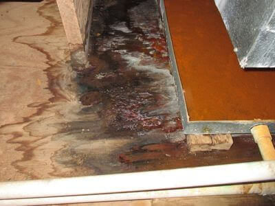 About water damage restoration service - commercial flood cleanup experts in Hyattsville