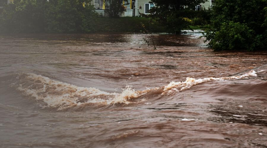 Why choose water damage restoration service for commercial flood cleanup in Hyattsville